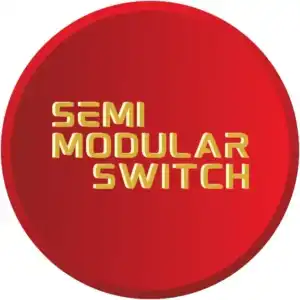 Semi Modular Switch