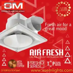 ceiling exhaust fan in nepal